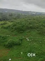 Plot for sell