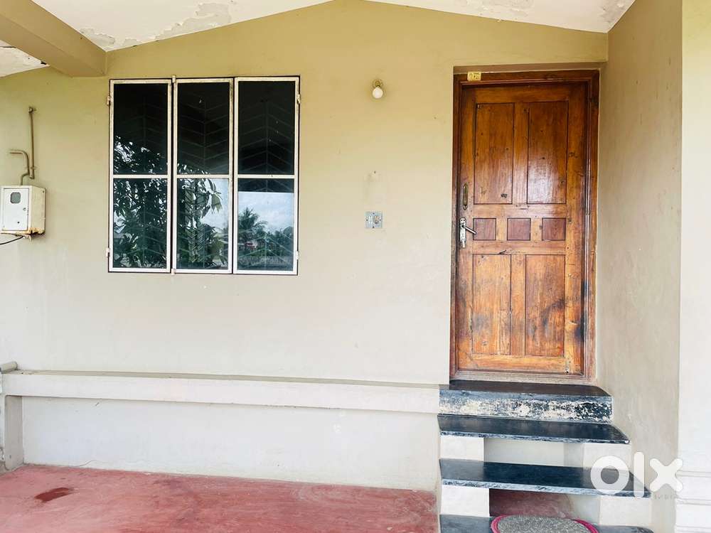 1BHK for rent very near to GVHSS Kanjikode