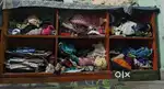 Cupboard wood which have 6 Divisions hight 6.3ft