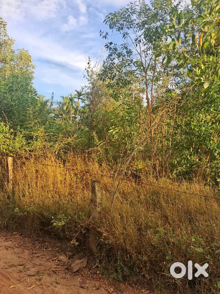 50 cents rectangalur shape land for Rent in Koteshwara