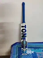 SS english willow bat