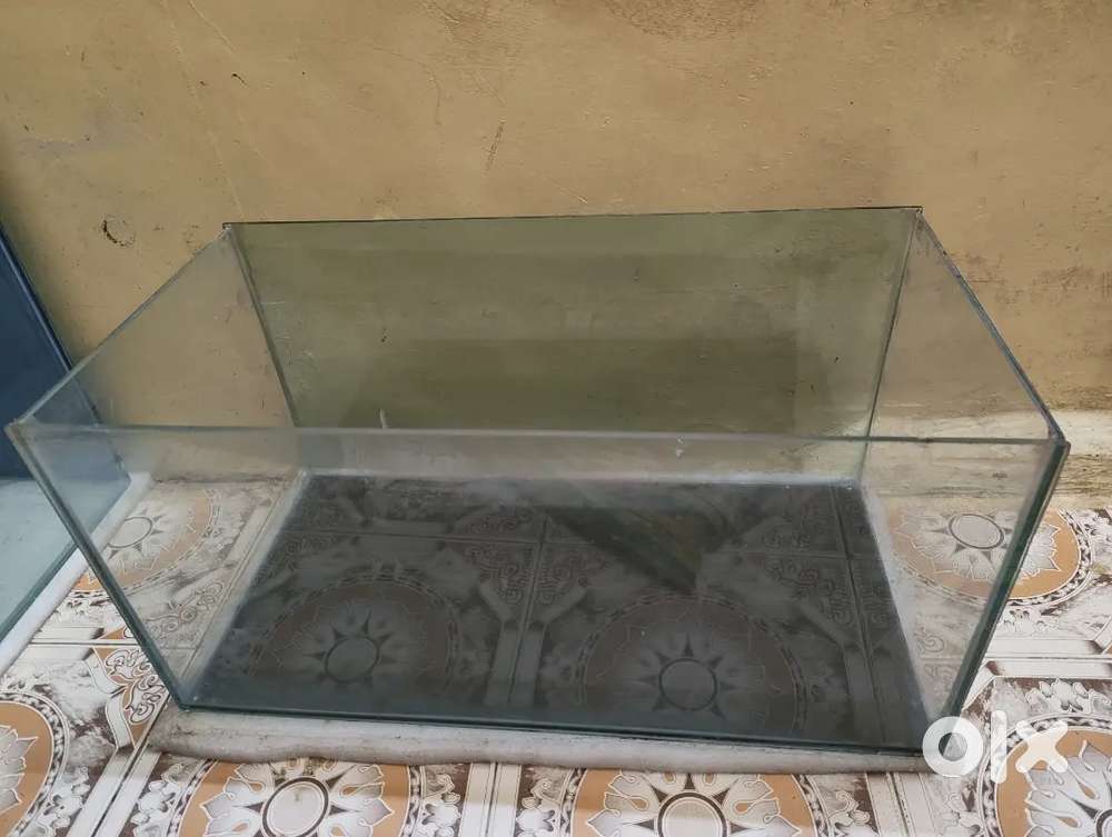 Accessories with aquarium