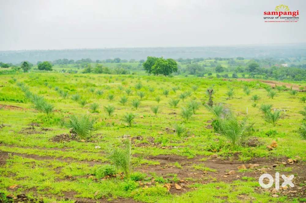 Organic agriculture form lands