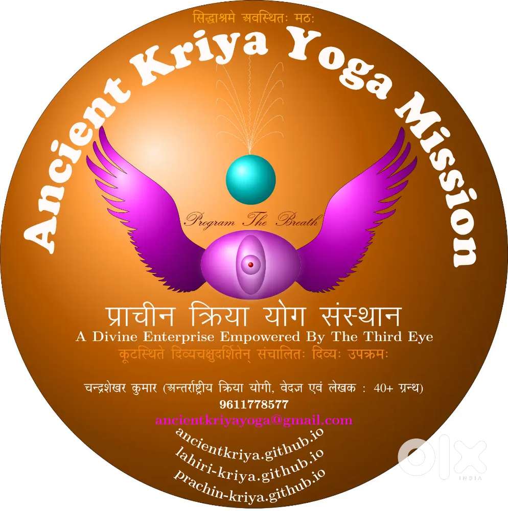 Helper needed for shop