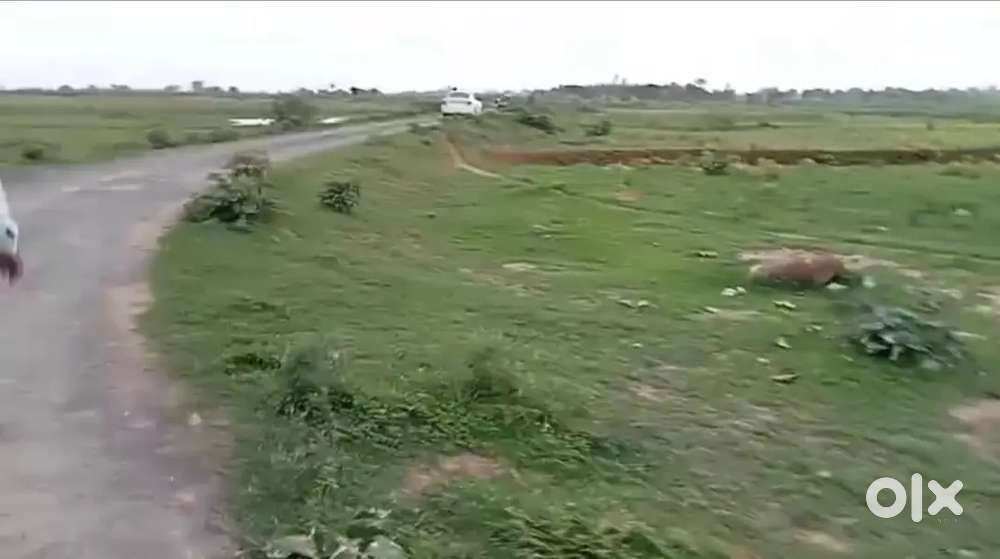 35 लाख में 4 बीघा काली डामर रोड पर  शहर से 50 k.m कोहड़ार से 10 km