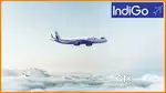 Domestic/International Airport jobs ground staff/ticketing /cabin crew