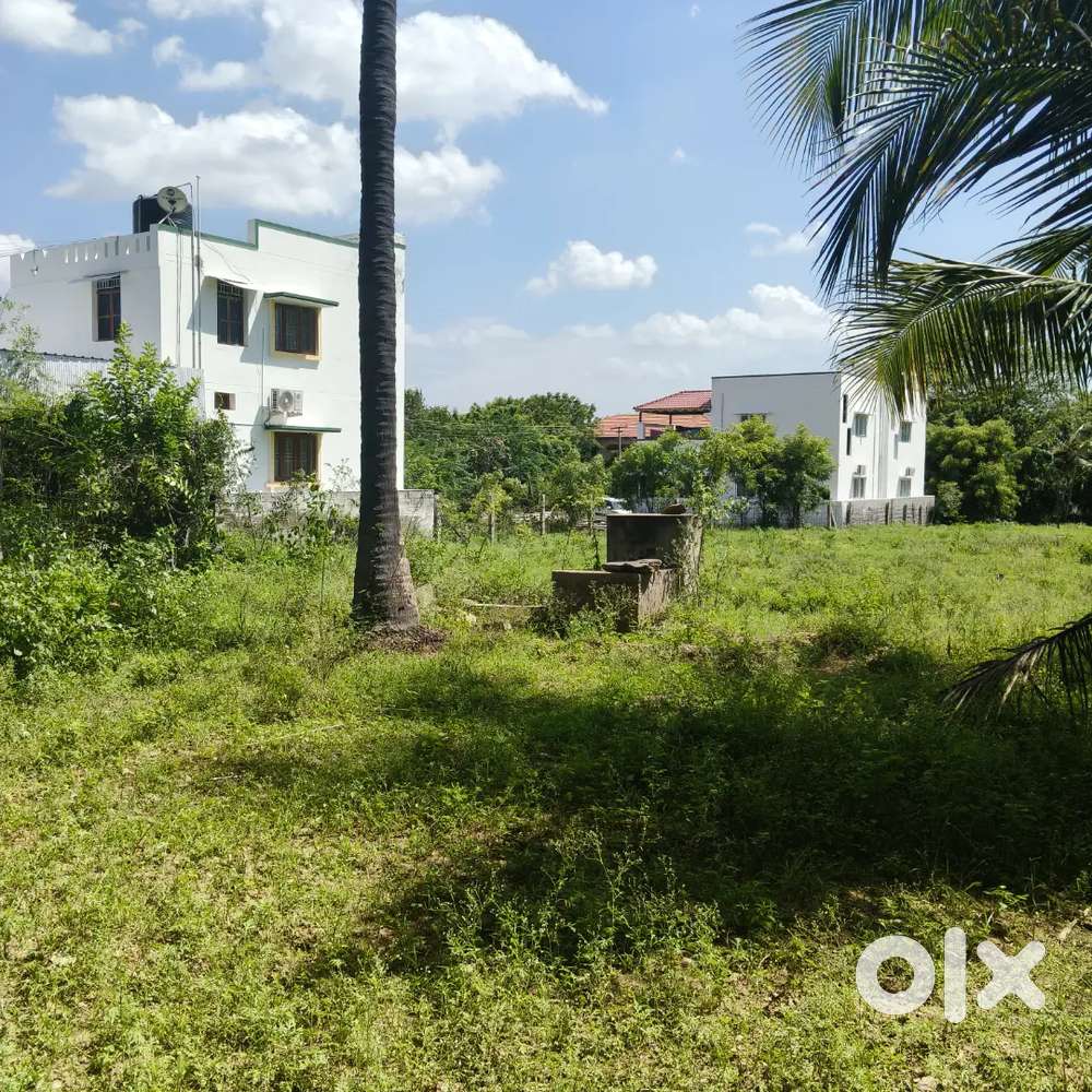 திண்டல் to 200m  1 ஏக்கர் தென்னை தோப்பு விற்பனை