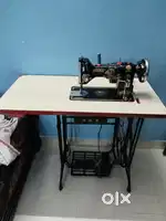 Shakti zag meshen 2025 model