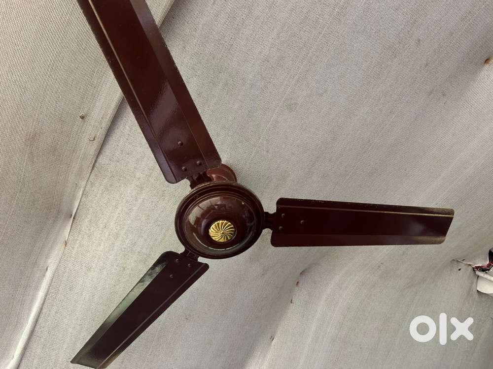 Ceiling Fan