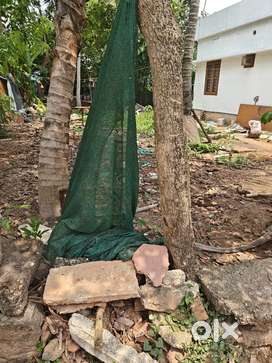 5 Cent Land Sale-Kalamassery Medical College-Mattekkad