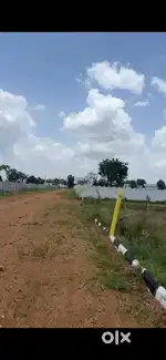 Residential Farm Plot  @ Nedunur near Kandukur Srisailam Highway