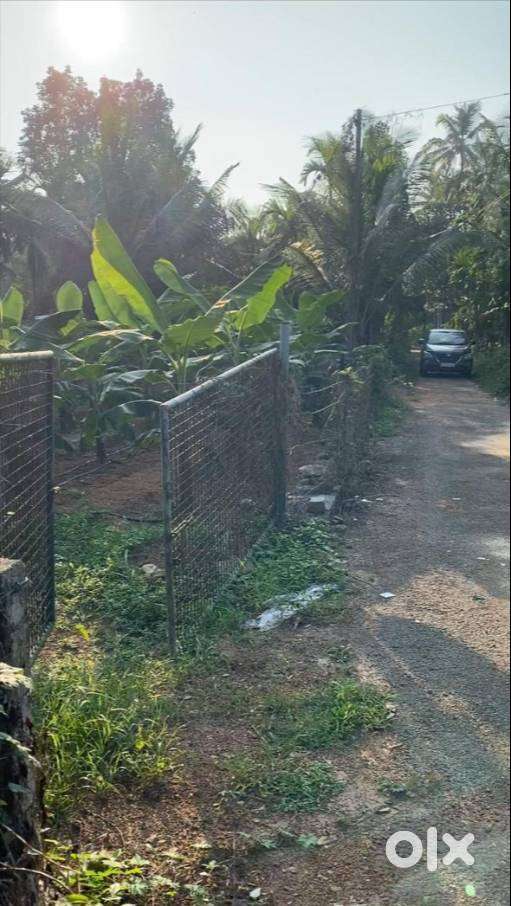 Kombodi, Chalakudi, 26, 14, 12Cent Land/Plots, 1.2L/Cent, Negotiable.