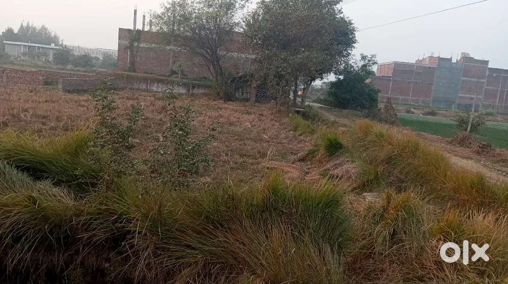 On road khet arjent sell