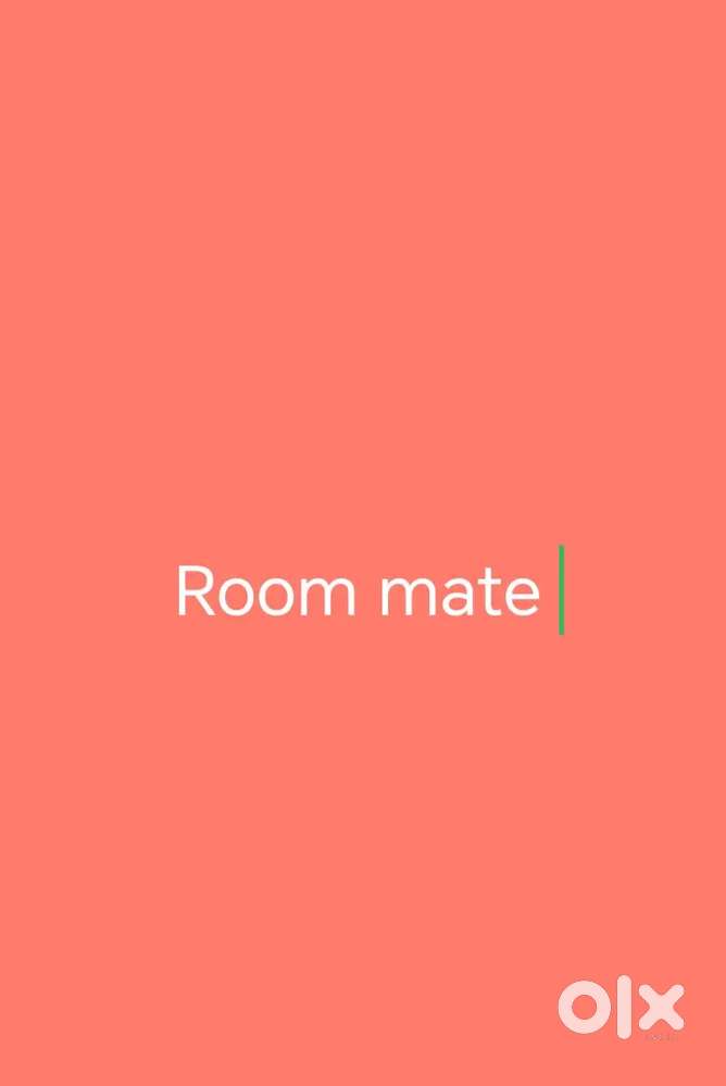 Room Mate chahiye