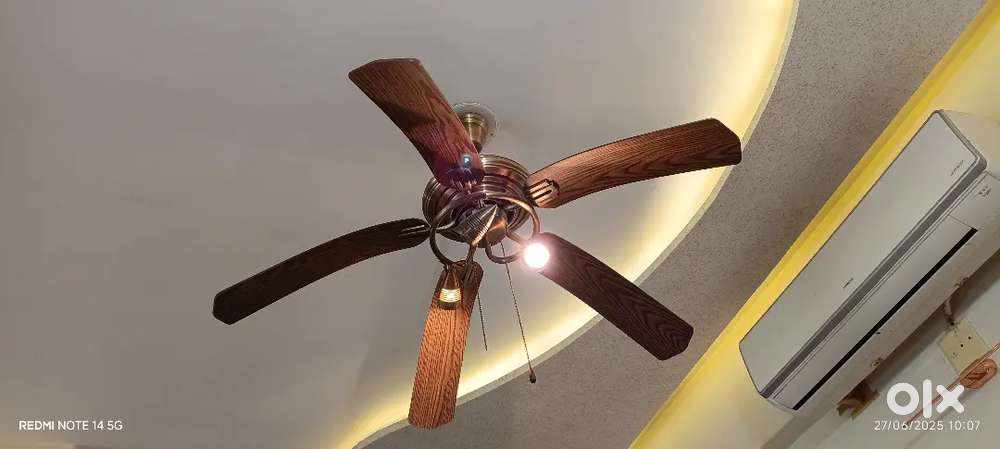 decorative fan