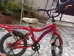 Baby cycle