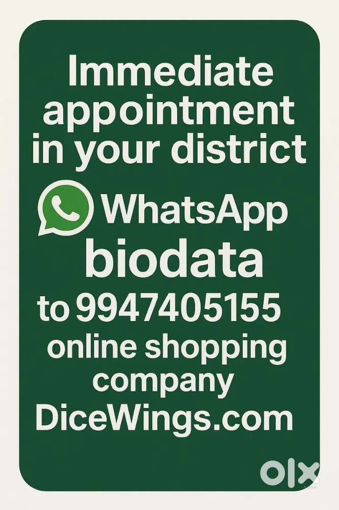 Sales Executive @Kollam