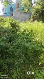 Laxmi real state