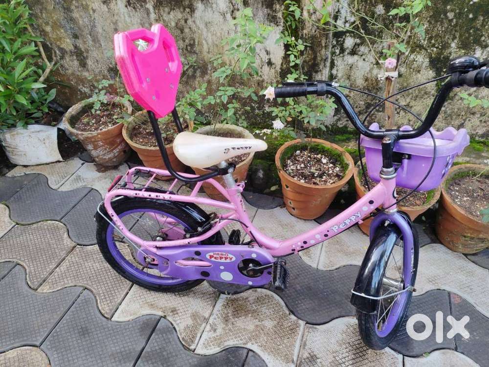 Hero Kids Peppy Cycle