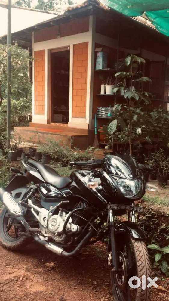 Bajaj pusler for sale