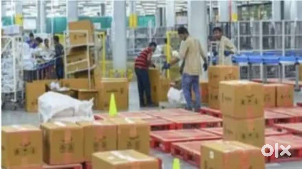 Warehouse job vaccany