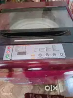 Whirlpool 6.5 kg Fully Automatic Top Load Washing Machine