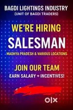 Sales Executive
