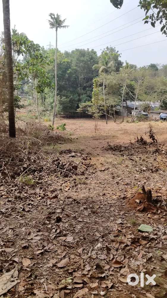 Kakkanad Infopark pallikara 5 cent 10 cent