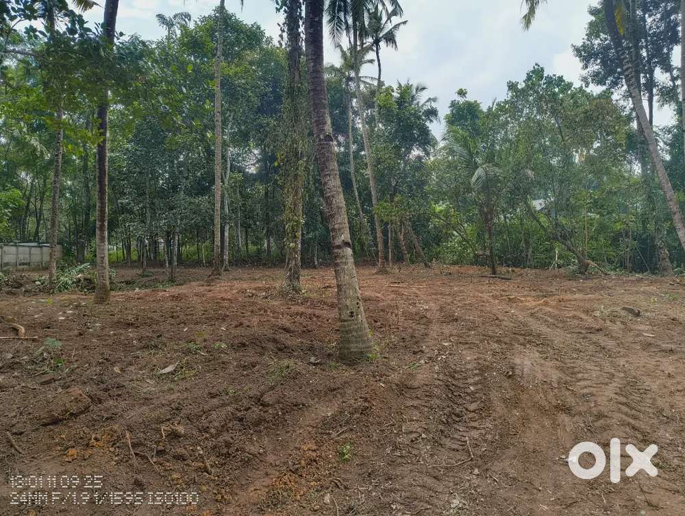 45cent plot for Rent