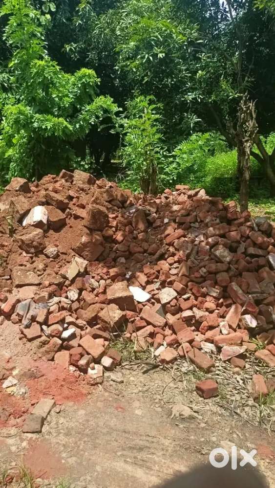 15 cent plot for sale at kollengode nandankizhaya