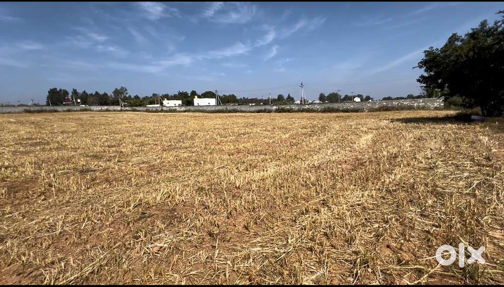 3  Acres AGRICULTURE FARM LAND  layout attached SALE NEAR bagalur