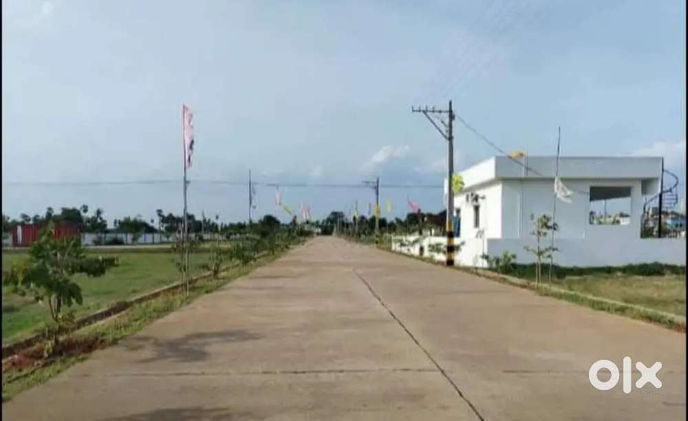 NUDA APPROVAL LAYOUT