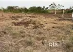 16000/sqaure yard(negotiable)
