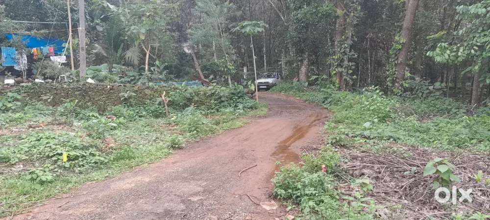 Kottayam pallikkalthodu