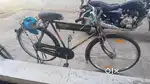 2 Month Old Cycle