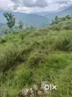 Property in clean and peaceful environment near almora hills area