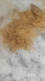 I am Hydrabad briyani