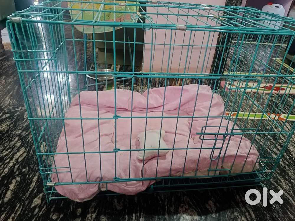 Cat and dog cage  ready to use