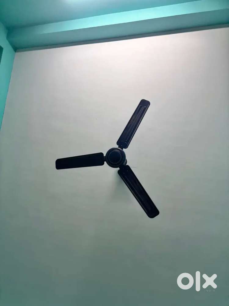 1 month old Orient celling fan with 2 year warranty and  warranty card