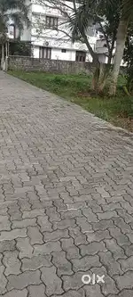 Aluva karumalloor 5 ct plot ct 5 lk