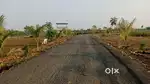 Open plot for rent