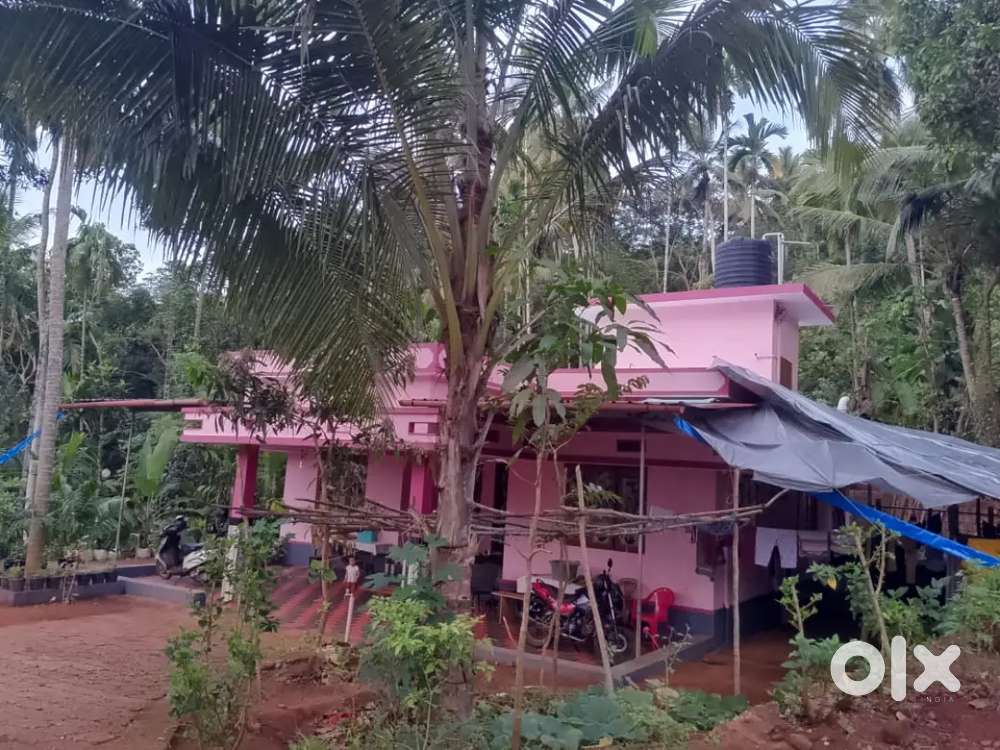 3 bedroom 7 years old house & 16 cent place for sale.. * വരക്കാട് *