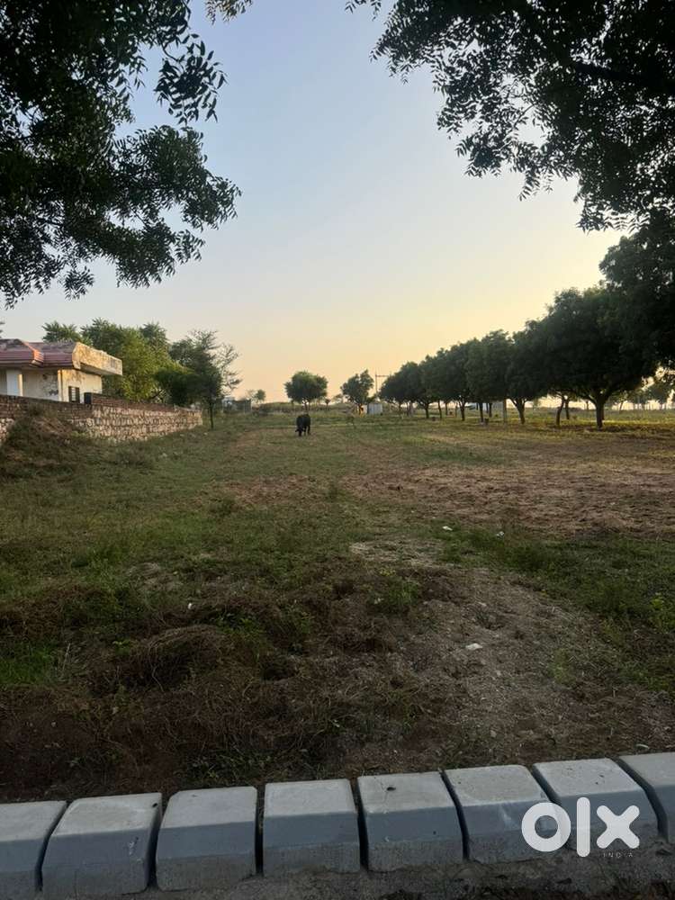 Government approved plots for sale near Mehla ajmer road 8500 per sqyd