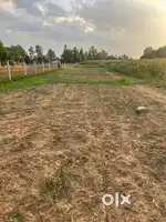 Feature plan (PRIZE NEGOTIABLE)