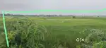 Lucknow Raebareli road investment project