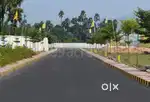Rajulathalavalsa