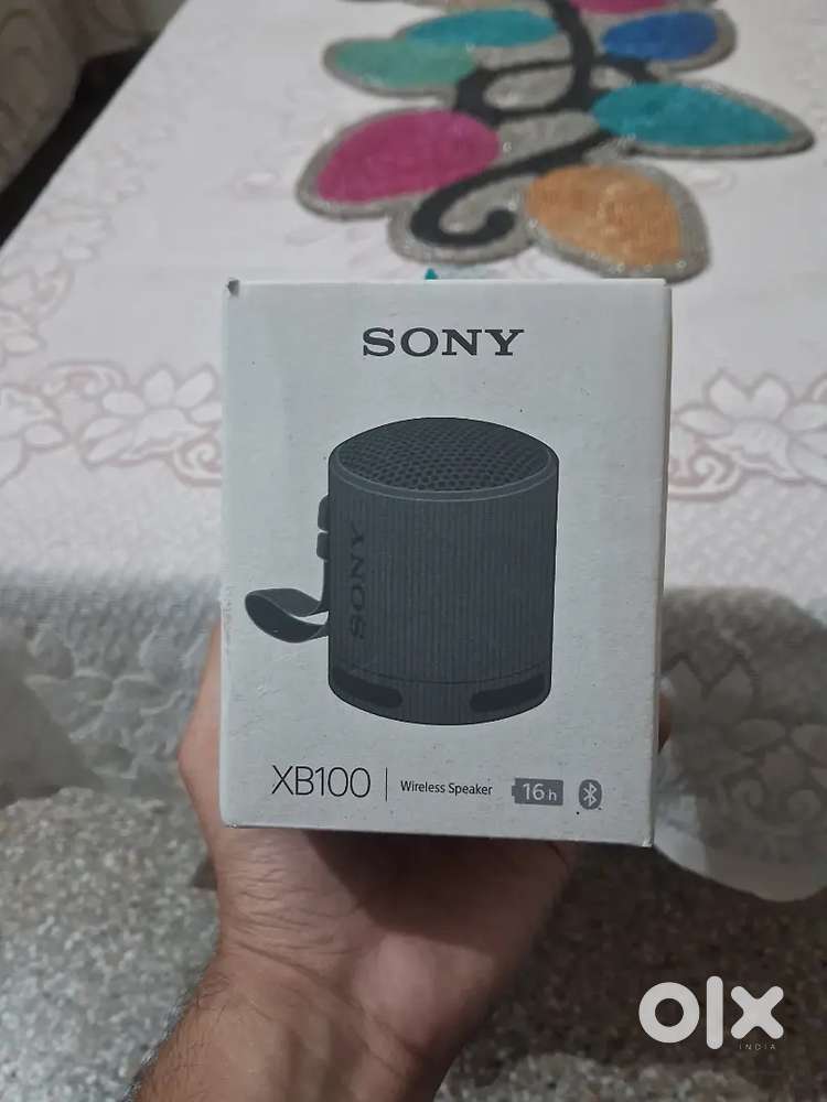 Sony XB100