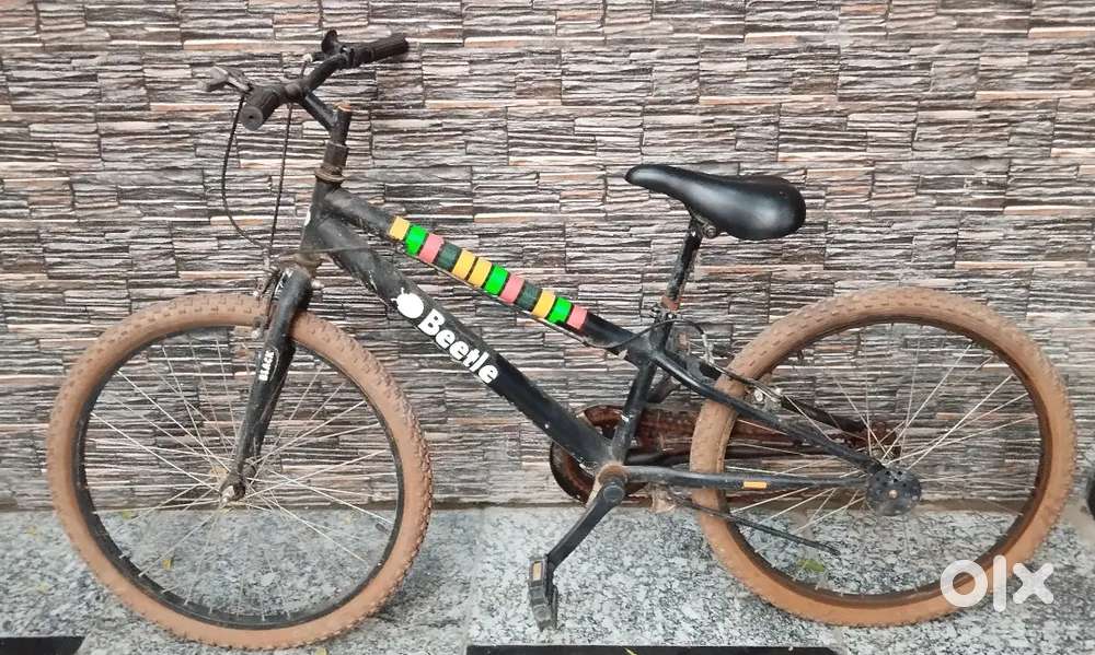 Beetal cycle 20 inch