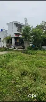 அவசர விற்பனைக்கு 800 சதுரடி நிலம்