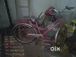 Girls cycle